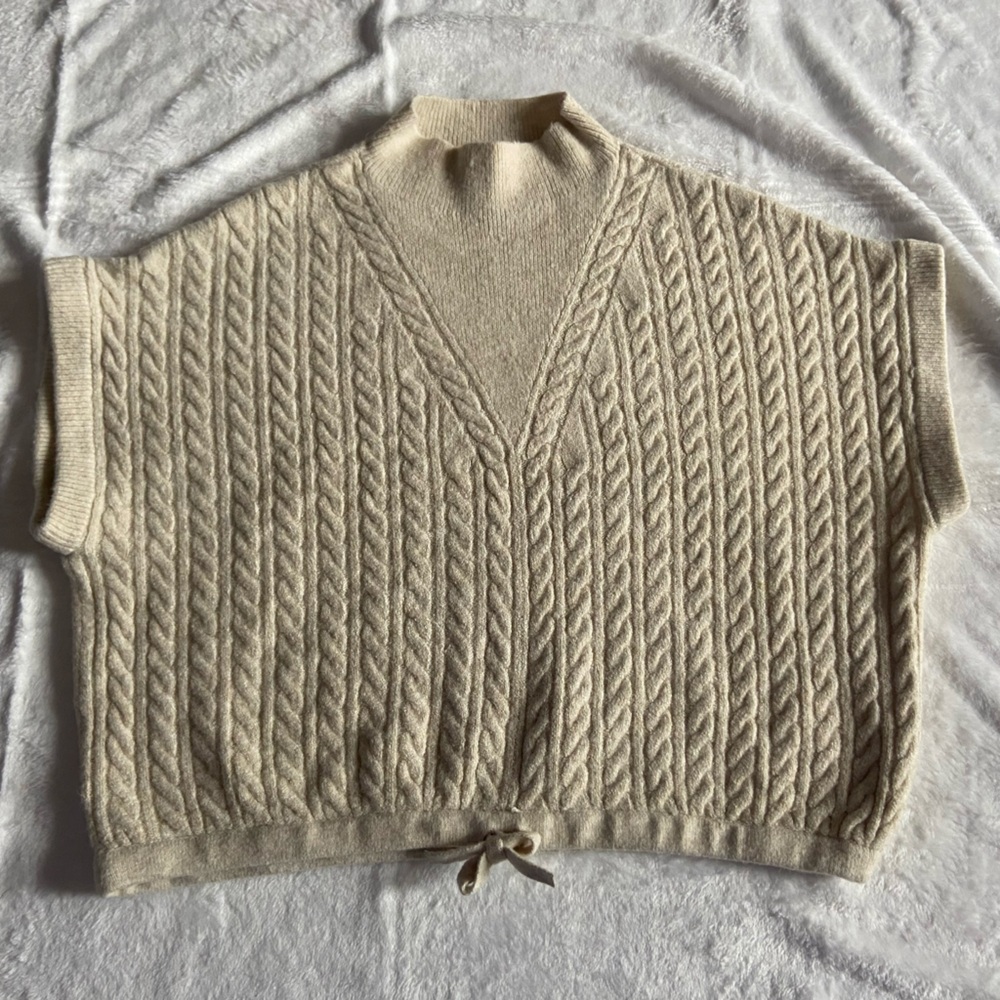 Express Sweater Vest